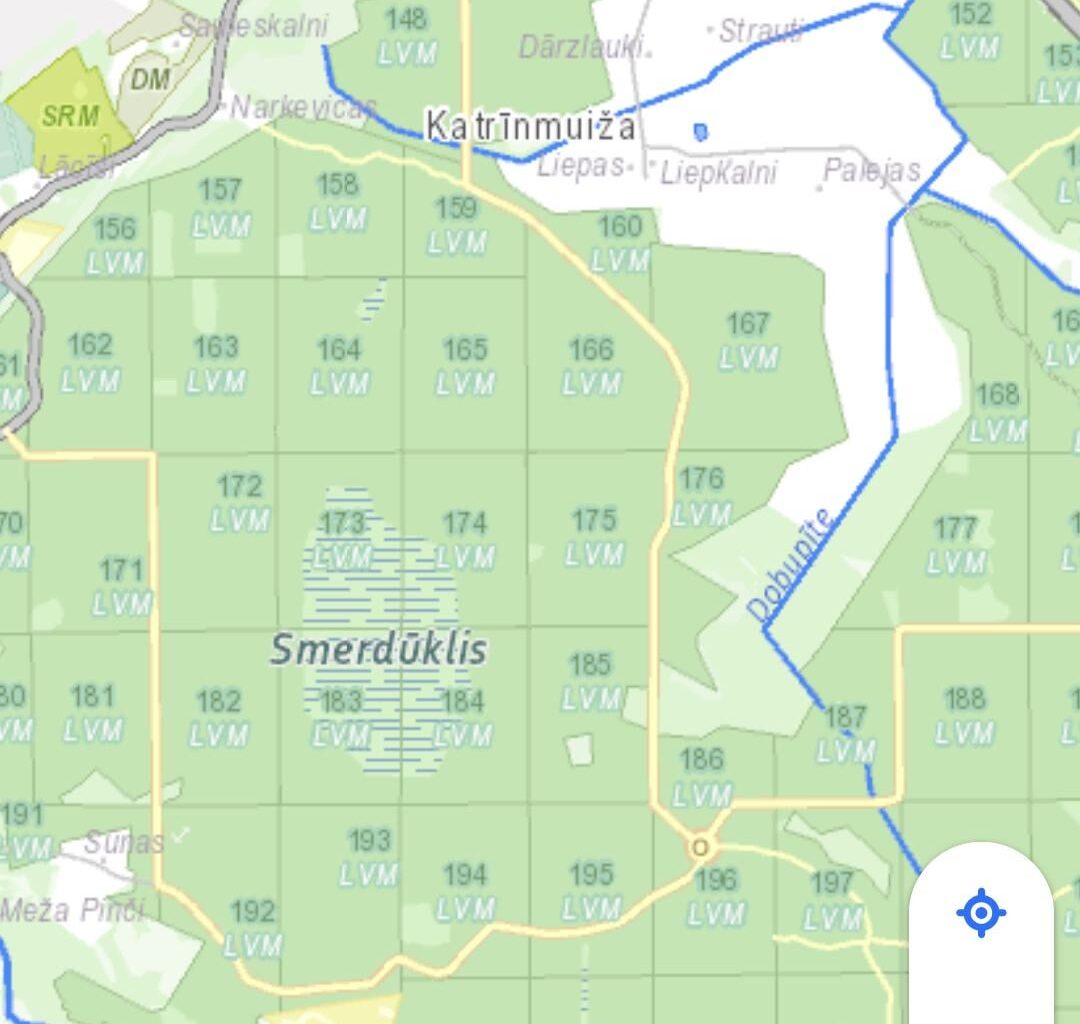 Ziemassvētku eglīte