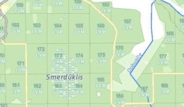 Ziemassvētku eglīte