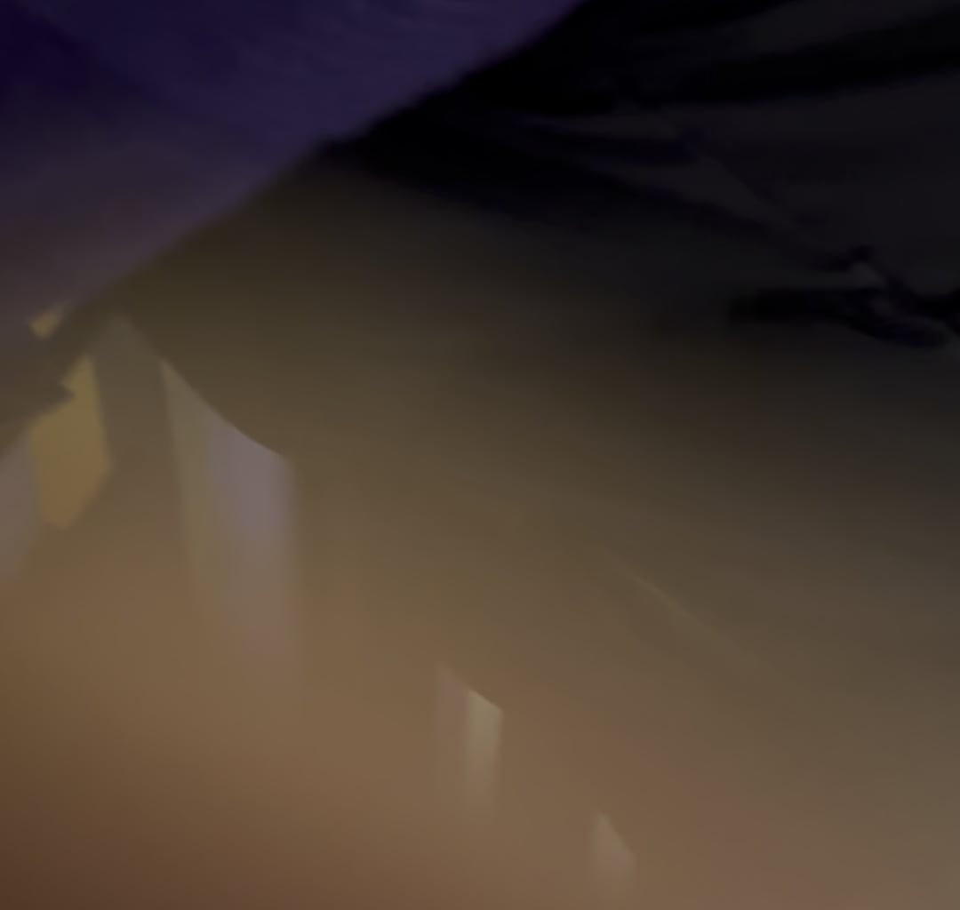 Farmers’ Christmas Lights.