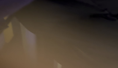 Farmers’ Christmas Lights.