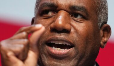 No.10 Slaps Down David Lammy's Claim Joining EU Customs Union Would Boost UK Growth