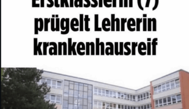 Normalster Bild Artikel