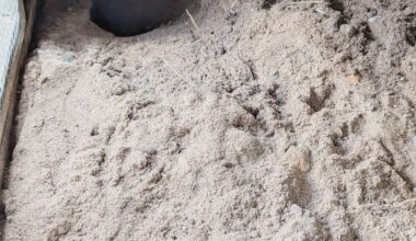 Welches Tier hat sich dieses Loch in den Hühnerstall gegraben?