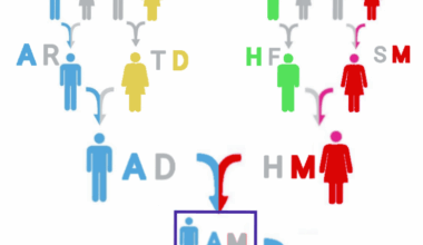 Apellidación simétrica
