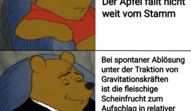 Werd ich jetzt immer so sagen