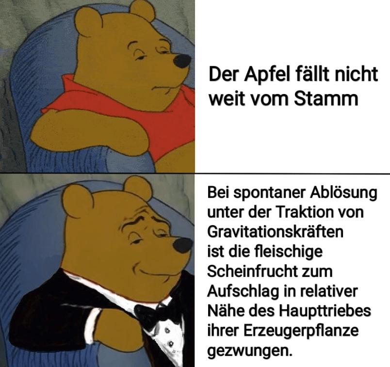 Werd ich jetzt immer so sagen