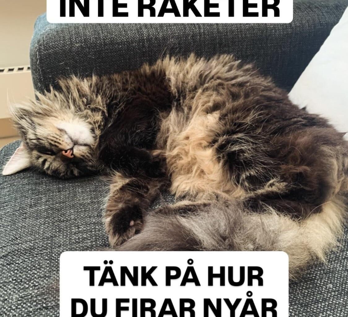 En uppmaning att tänka lite på djuren och naturen