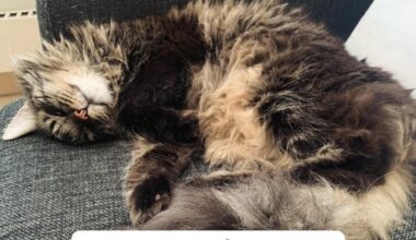 En uppmaning att tänka lite på djuren och naturen