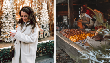 I’ve Chased Europe’s Christmas Markets For Years: Here…