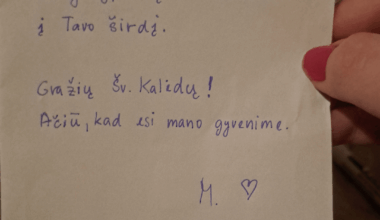 Good people from Lithuania, help me with text and handwriting for a postcard for my lithuanian friend 🎄✍️