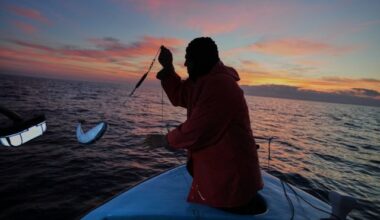 Cypriot fishermen battle invasive lionfish and turn them into a tavern delicacy