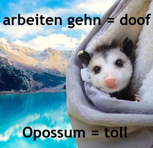 ich iel