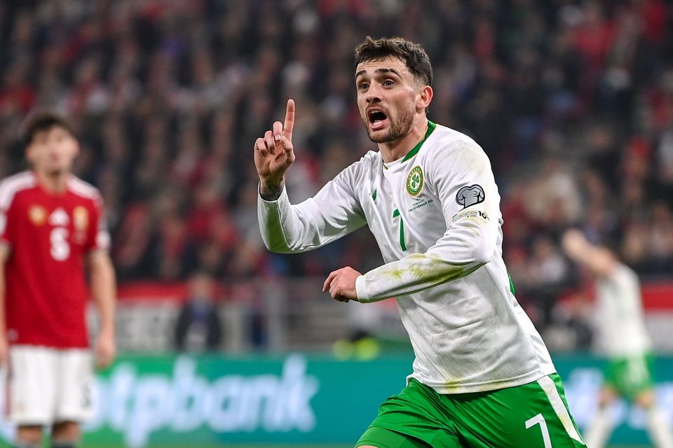 Troy Parrott’s exploits for Ireland captured the public imagination. Photo: Stephen McCarthy/Sportsfile