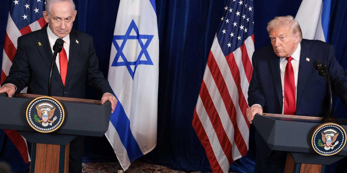 'Humiliating': Observers bash Trump for fawning over 'fake' award from foreign leader