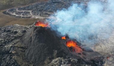 Discover Magazine Logo