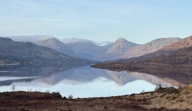 Happy New Year from The Trossachs
