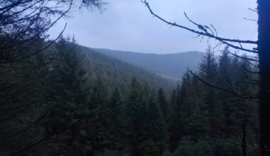 My photos from Glentress, nice place for pedestrians as well as bikes, can be accessed via public transport from Edinburgh