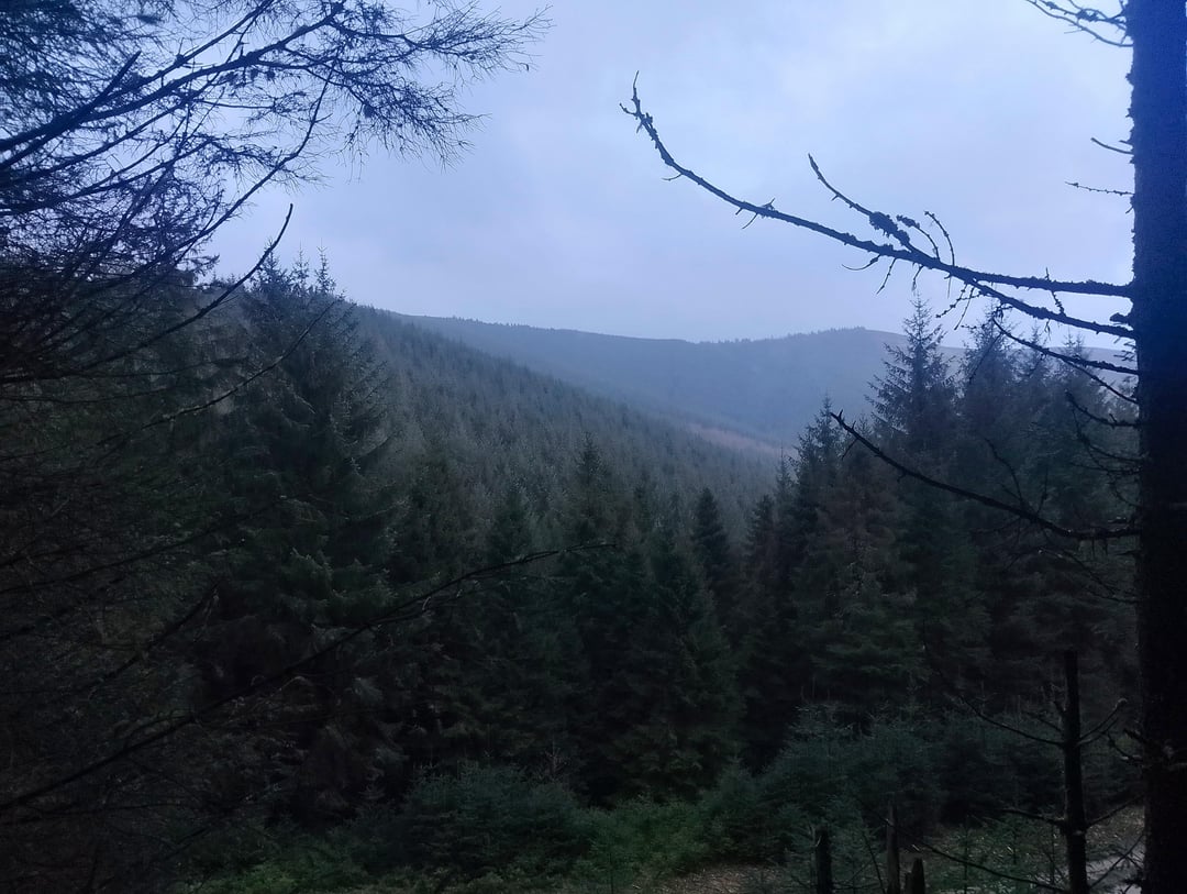 My photos from Glentress, nice place for pedestrians as well as bikes, can be accessed via public transport from Edinburgh