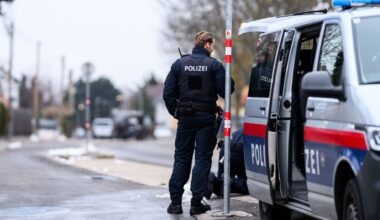 Mitten in Wien: 6-Jährige rettet Familie durch SOS-Handzeichen