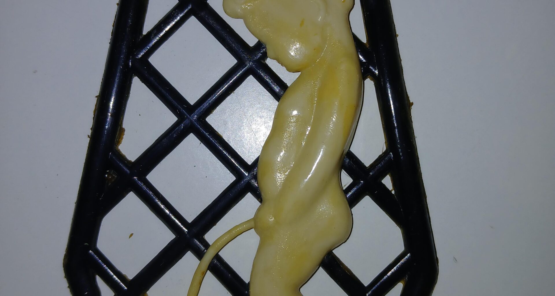 Vă mai amintiți de chestia asta de pe ușa de la baie?