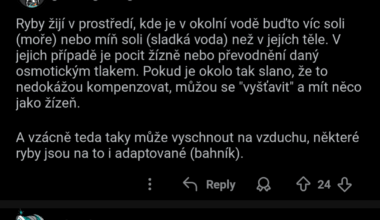 Dualita r/czech