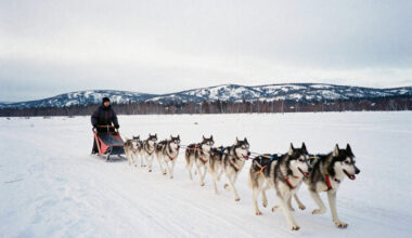 Finland Joins Austria, Denmark, Switzerland, Singapore, Iceland, and More as Safe Destinations for 2025 Travelers Amid Decline in U.S. Rankings