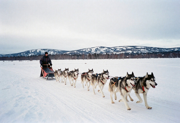 Finland Joins Austria, Denmark, Switzerland, Singapore, Iceland, and More as Safe Destinations for 2025 Travelers Amid Decline in U.S. Rankings