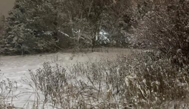 This Week's Snow Making Way for Rain by Thursday