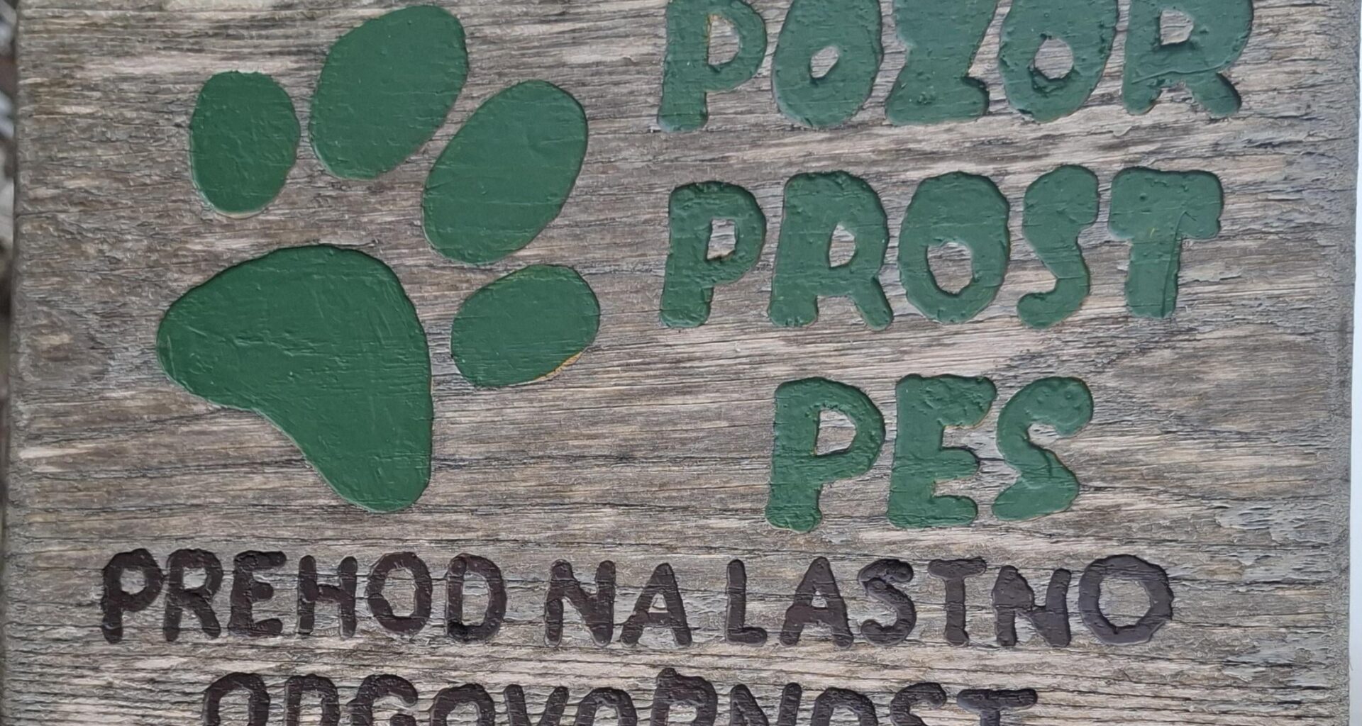 Kaj je to "Licence to kill"