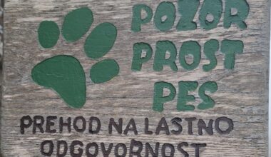 Kaj je to "Licence to kill"