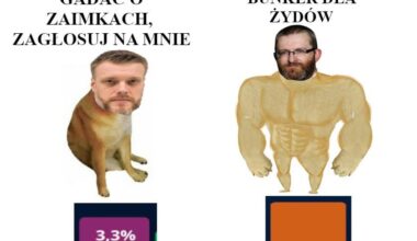 Lewica w Polsce na fali wznoszącej