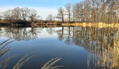 Am Burgteich in Schönfels