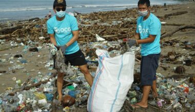 Scientists urge governments not to wait for global plastics treaty as pollution continues to grow
