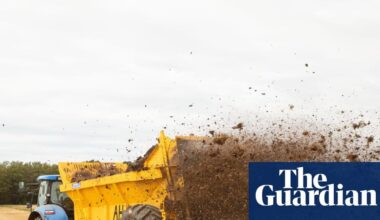 More than 520 chemicals found in English soil, including long-banned medical substances