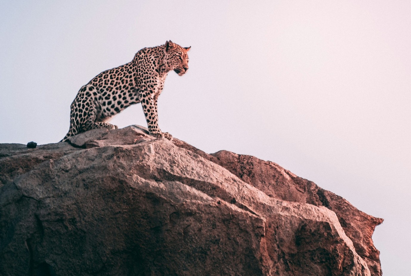 From Cape Town to Rio: International Cooperation to Address Crimes That Affect the Environment - Story