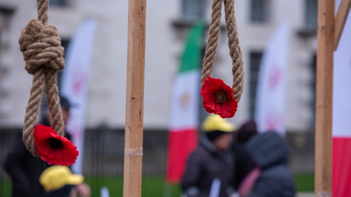 Nooses with red roses are displayed during the Anglo-Iranian community rally to support the Iranian people's push for a new revolution. Members of the Anglo-Iranian community, along with supporters of the National Council of Resistance of Iran (NCRI), commemorated the 45th anniversary of the revolution in Iran that saw the overthrow of the Shah's regime and eventually let to a theocratic Islamic republic in 1979.