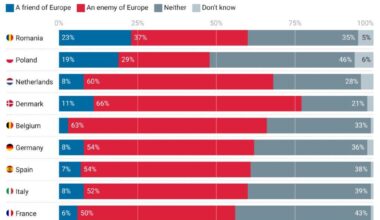 Ia uite de unde sare suveranistul in sondaj