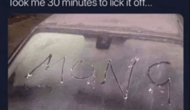 I hate these cold mornings...