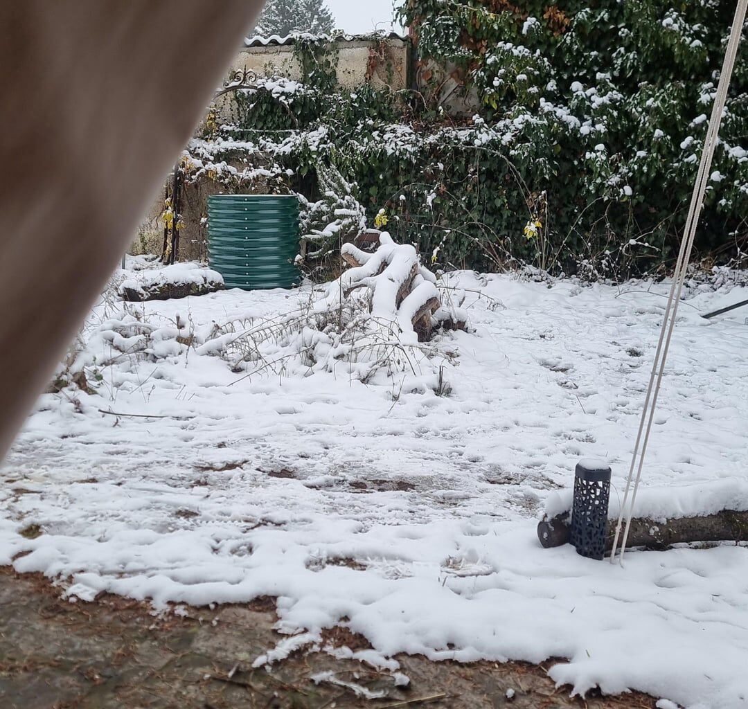 Weiße Outdoor Weihnachten 🎄