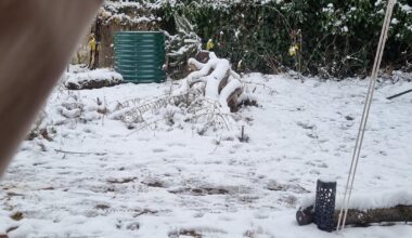 Weiße Outdoor Weihnachten 🎄