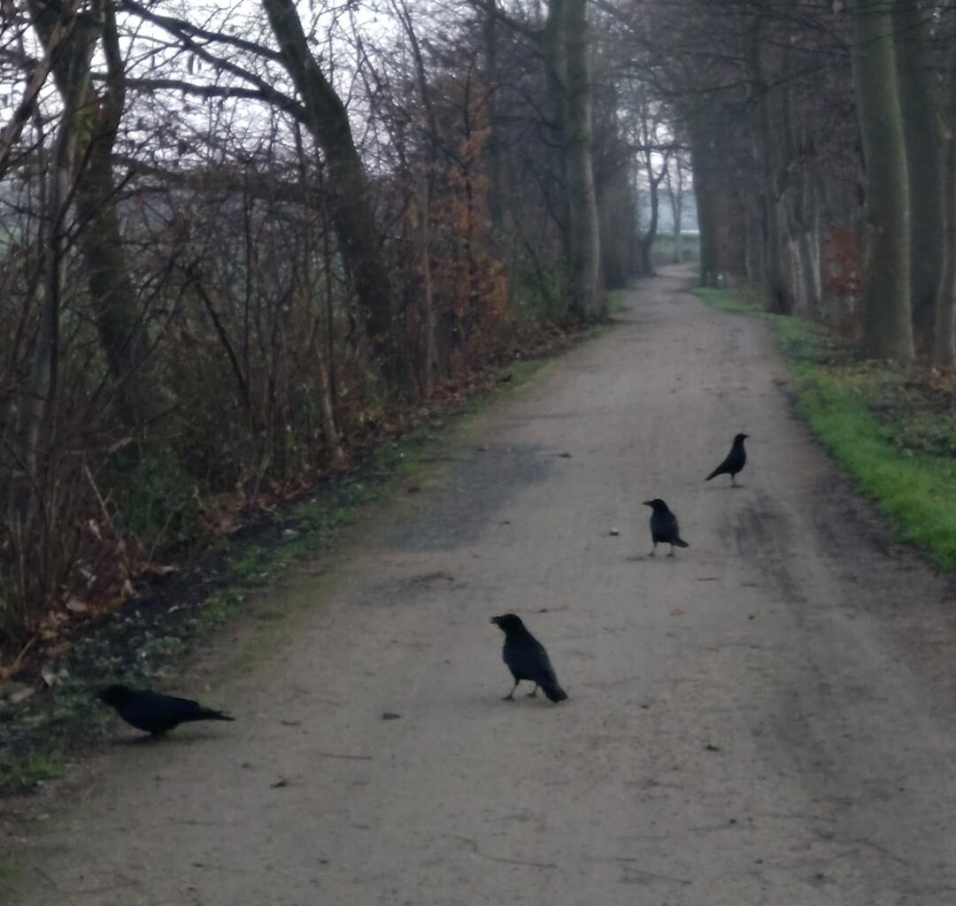 Good morning Girls and Boys 😀