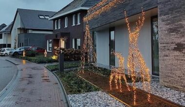 Absurd hoge temperatuur voor december: tot wel 14 graden