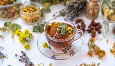 Croatian Herbal Teas From Podravina Brew Success on Global Markets
