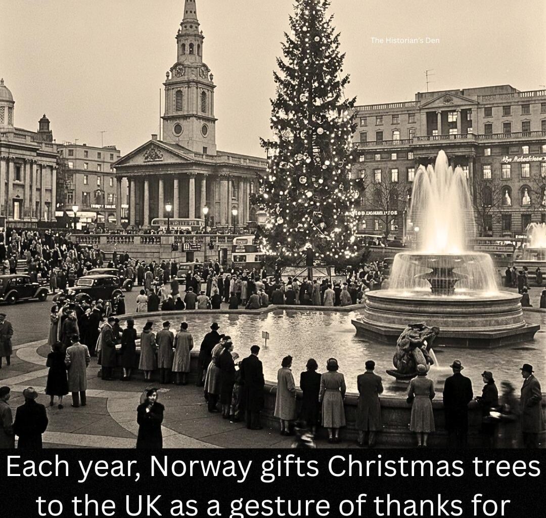 Since 1947, Norway sends a Christmas tree to London every year : a token of appreciation for Britain’s support in WW2