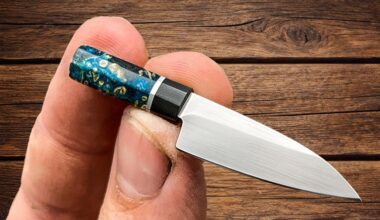 Naredil sem mini japonski kuinjski nož (gyuto)