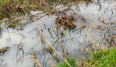 Milchig trübes Wasser