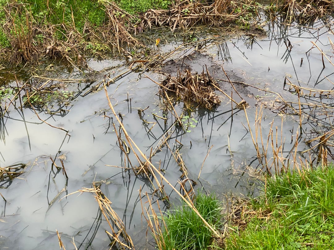 Milchig trübes Wasser