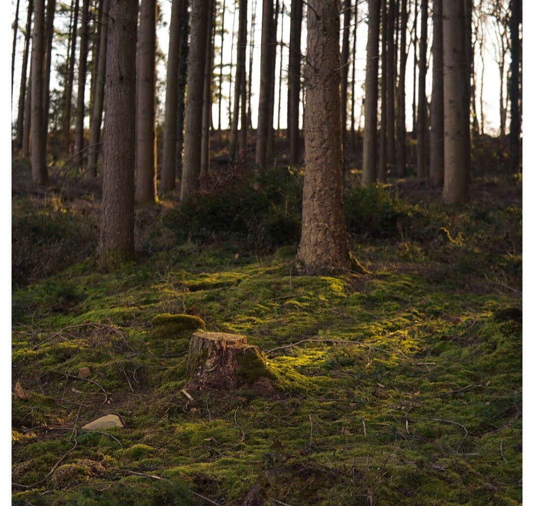 Sunny Monday around Bech