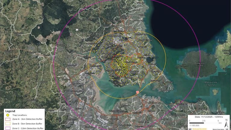 A total of 780 traps have been put in place, out of a 11km radius from where the hornets were found in Glenfield and Birkdale.