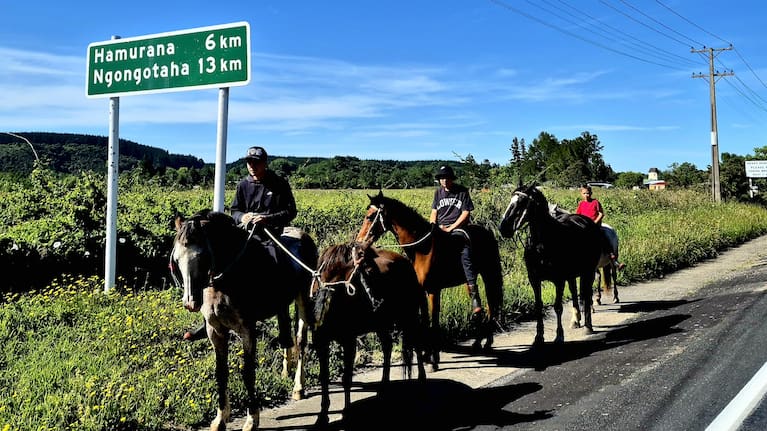Horse riders, Mourea, near Waiatuhi Marae - a small settlement between Lake Rotorua and Lake Rotoiti. 
